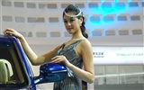 2010 Beijing International Auto Show (2) (z321x123 Werke) #11