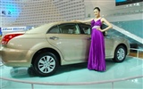 2010 v Pekingu mezinárodní automobilové výstavy (2) (z321x123 práce) #12