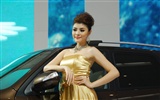 2010 Beijing International Auto Show (2) (z321x123 œuvres) #26