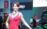 2010 Beijing Auto Show Featured Model (South Park works) #2