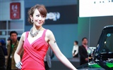 2010 Beijing Auto Show Featured Model (South Park Werke) #2