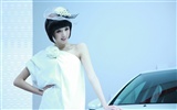 2010 Beijing Auto Show destacados Modelo (Sur de obras del Parque) #5