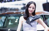 2010 Beijing Auto Show destacados Modelo (Sur de obras del Parque) #16
