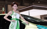 2010北京国際自動車ショーは、（砂糖に行くラウンド）の動作 #10