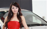 2010北京国際自動車ショーは、（砂糖に行くラウンド）の動作 #16