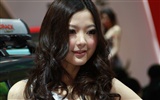 2010 Beijing Auto Show beauty (some general works) #2