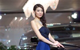 2010 Beijing International Auto Show (mcwang007 Werke) #2