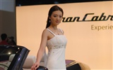 2010 Beijing International Auto Show (mcwang007 Werke) #5