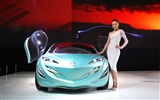 2010 Beijing International Auto Show (mcwang007 œuvres) #12