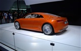 2010 Beijing International Auto Show (mcwang007 works) #16