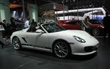 2010 Beijing International Auto Show (mcwang007 works) #21