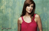 Kate Walsh beautiful wallpaper