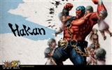 Super Street Fighter 4 inkoustové čínském stylu wallpaper #13