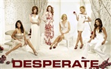 Desperate Housewives 絕望的主婦 #28
