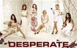 Desperate Housewives 绝望的主妇28