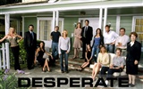 Desperate Housewives 絕望的主婦 #39