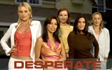 Desperate Housewives 绝望的主妇41