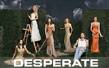 Desperate Housewives 绝望的主妇42