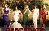 Desperate Housewives 绝望的主妇43