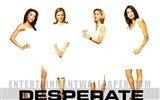 Desperate Housewives 绝望的主妇49