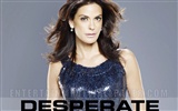 Desperate Housewives 絕望的主婦 #53