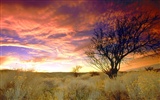 Selected sunrise and sunset wallpaper (1) #15