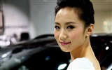 Beijing Auto Show (and far works) #9