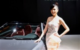 Beijing Auto Show (und weit Werke) #14