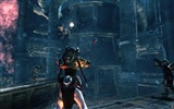 Lost Planet 2 失落的星球2 高清壁紙(四) #7