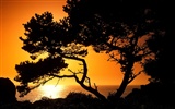 Selected sunrise and sunset wallpaper (2) #12
