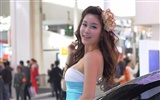 2010 Beijing International Auto Show (bemicoo Werke) #8