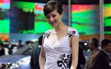 2010 Beijing International Auto Show (œuvres bemicoo) #11