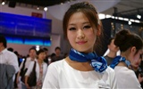 2010 Beijing International Auto Show (Sunshine Beach œuvres)