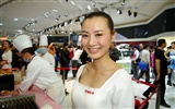 2010 Beijing International Auto Show (Sunshine Beach works) #2