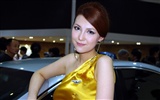 2010 Beijing International Auto Show (Sunshine Beach works) #9