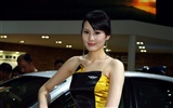 2010 Beijing International Auto Show (Sunshine Beach works) #10