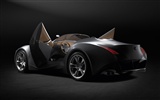 édition spéciale de concept cars fond d'écran (9) #5