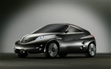 Special edition of concept cars wallpaper (9) #7