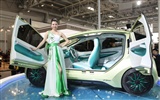 2010 Beijing Auto Show (1) (Pig besuchen Beijing Werke) #5