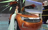 2010 Beijing Auto Show (1) (Pig besuchen Beijing Werke) #6