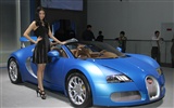 2010 Beijing Auto Show (1) (Pig besuchen Beijing Werke) #17