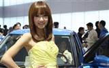 Beijing Auto Show 2010 (2) (conejillo de visitar las obras de Beijing) #5