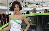 Beijing Auto Show 2010 (2) (conejillo de visitar las obras de Beijing) #9