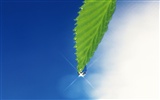 Green leaf photo wallpaper (4) #2