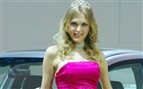 2010 Beijing Auto Show beauty (laogan101 works) #2