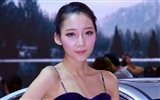 2010 Peking autosalonu krása (laogan101 práce) #13