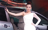 2010 Beijing Auto Show beauty (laogan101 works) #16