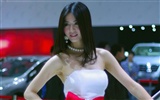 2010 Beijing Auto Show beauty (laogan101 works) #30