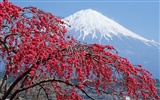 Mount Fuji, Japonsko tapety (1)