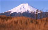 Mount Fuji, Japonsko tapety (1) #8